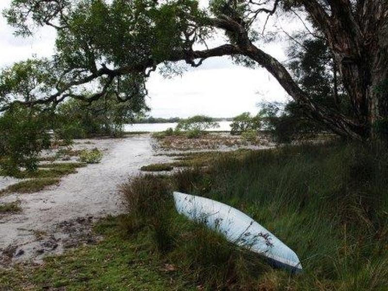 41 Cormorant Crescent, Jacobs Well QLD 4208