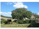 Gunns Plains TAS 7315