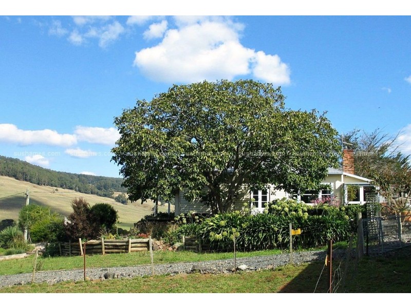 Gunns Plains TAS 7315