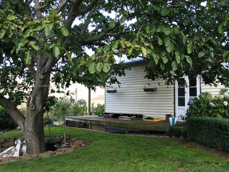 Gunns Plains TAS 7315