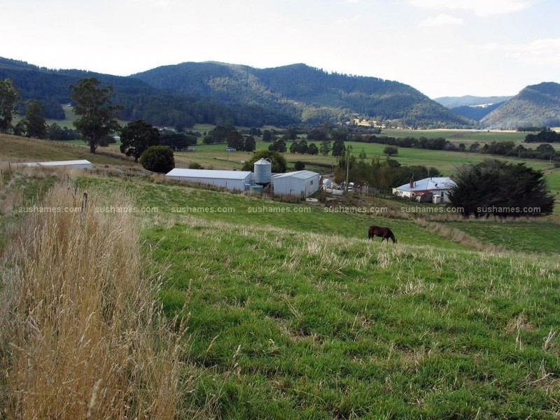 Gunns Plains TAS 7315