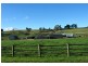 149 West Nook Road, Sheffield TAS 7306