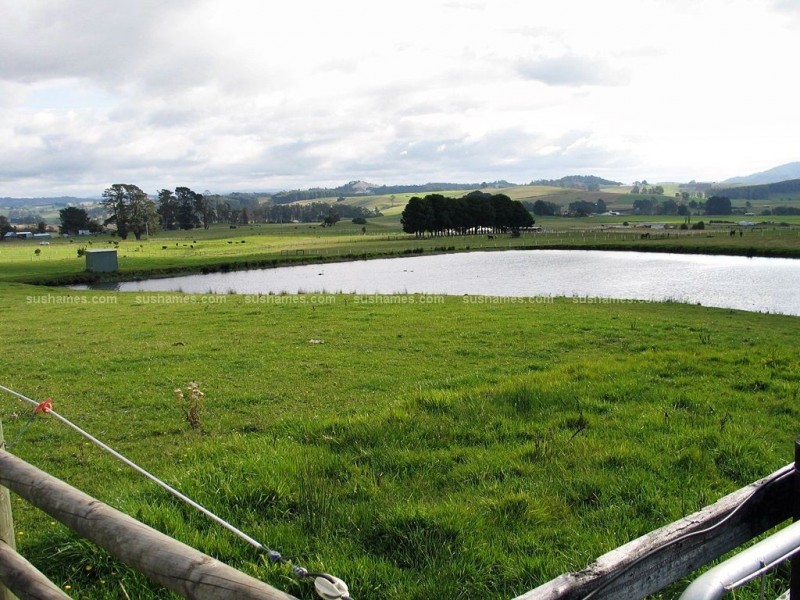 149 West Nook Road, Sheffield TAS 7306