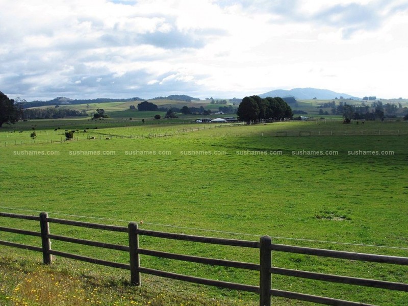 149 West Nook Road, Sheffield TAS 7306