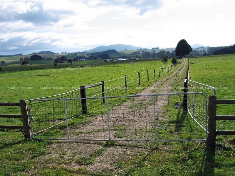 149 West Nook Road, Sheffield TAS 7306