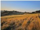 25 Scotts Court, Acacia Hills TAS 7306