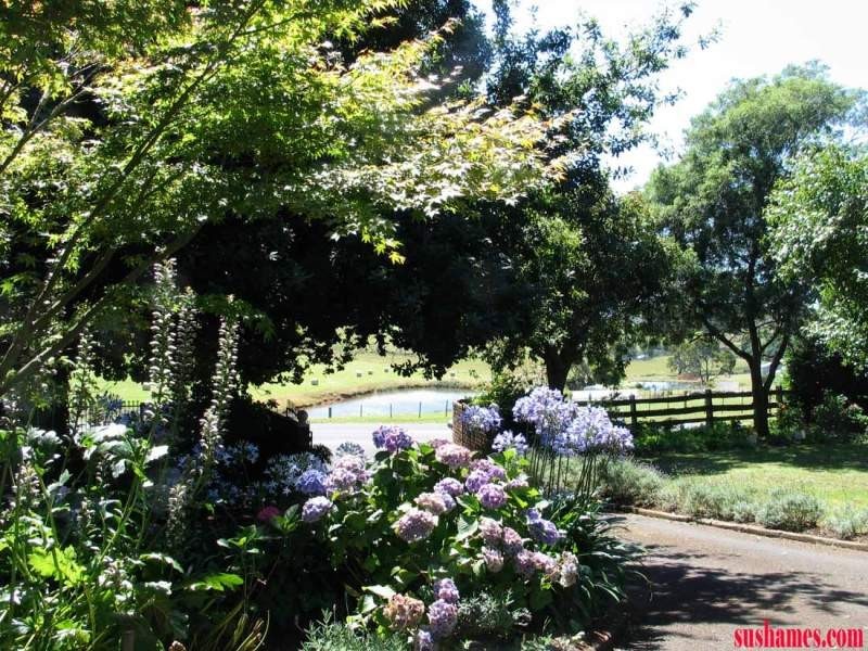 Lower Barrington TAS 7306