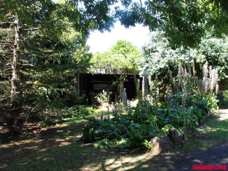 Lower Barrington TAS 7306