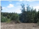 South Spreyton TAS 7310