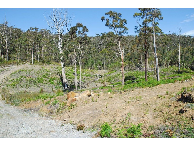 Lot 19 Forest Heights Drive, Tugrah TAS 7310