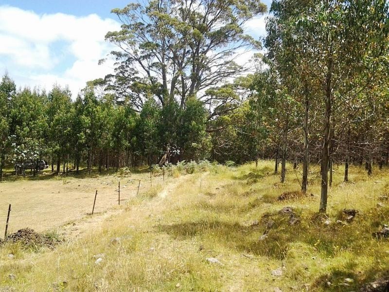 L1 Lonah Road, Staverton TAS 7306