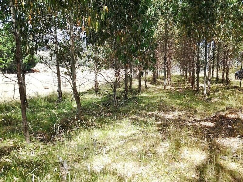 L1 Lonah Road, Staverton TAS 7306