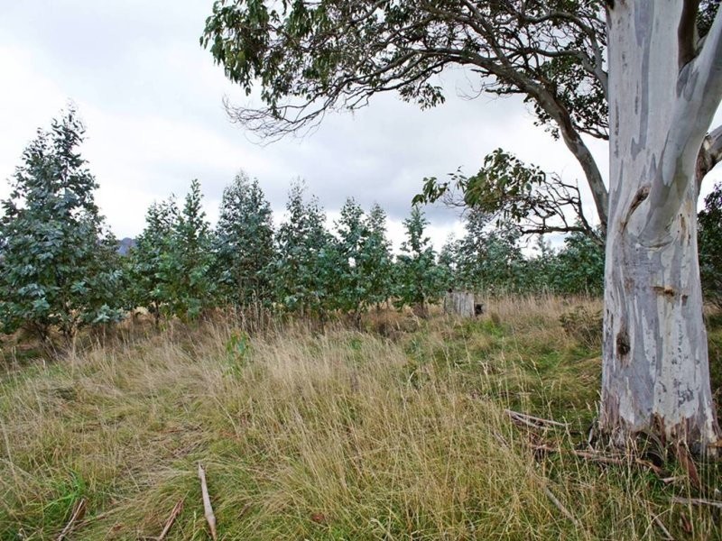 L1 Lonah Road, Staverton TAS 7306