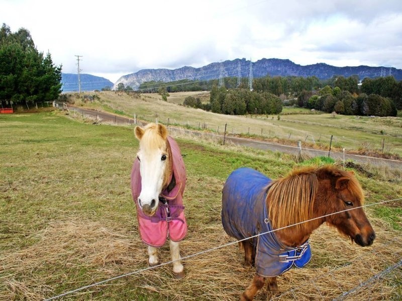 L1 Lonah Road, Staverton TAS 7306