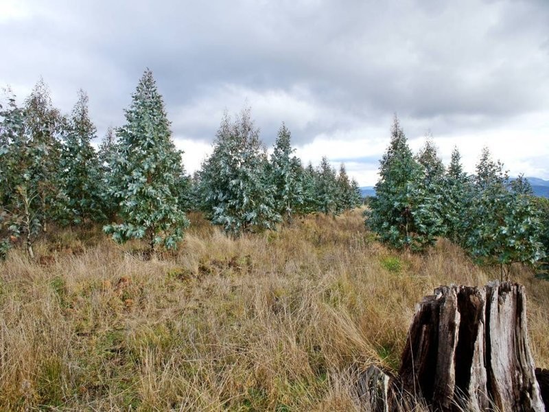 L1 Lonah Road, Staverton TAS 7306