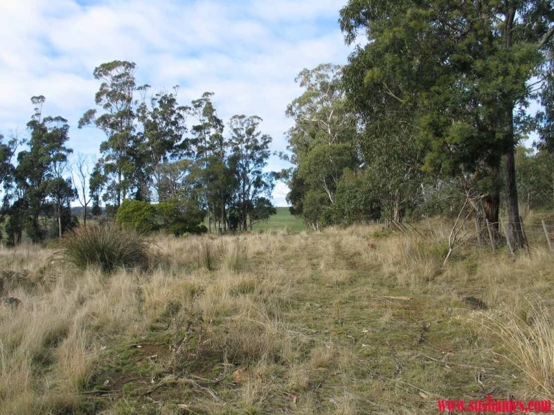 83 Kellys Cage Road, Weegena TAS 7304
