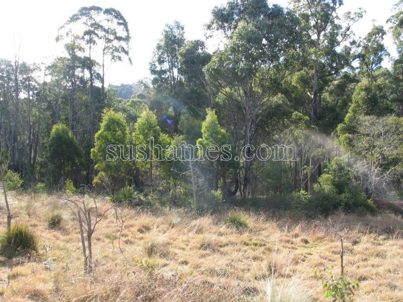 83 Kellys Cage Road, Weegena TAS 7304