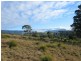 83 Kellys Cage Road, Weegena TAS 7304
