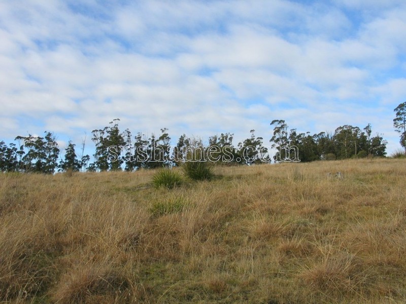 83 Kellys Cage Road, Weegena TAS 7304