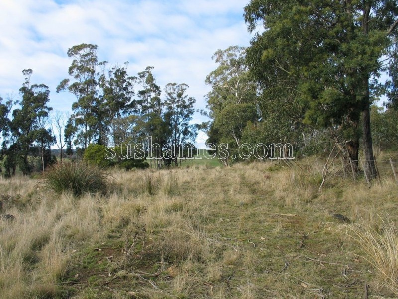 83 Kellys Cage Road, Weegena TAS 7304