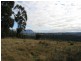 83 Kellys Cage Road, Weegena TAS 7304