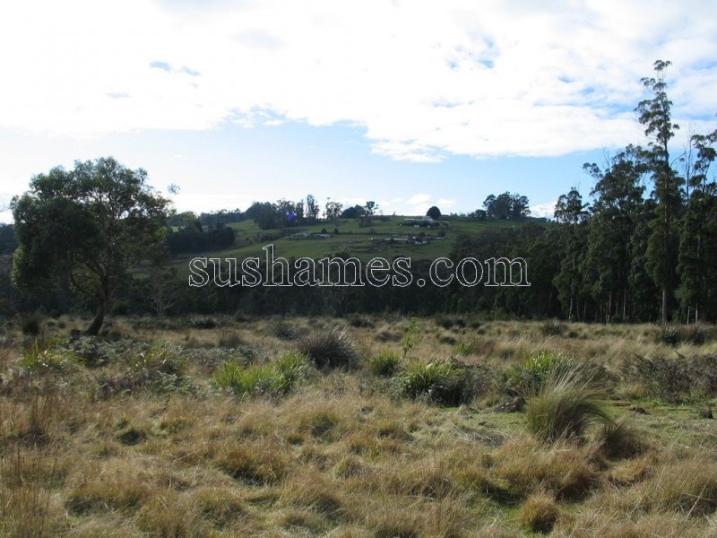 83 Kellys Cage Road, Weegena TAS 7304