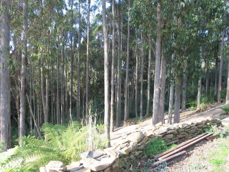 South Spreyton TAS 7310