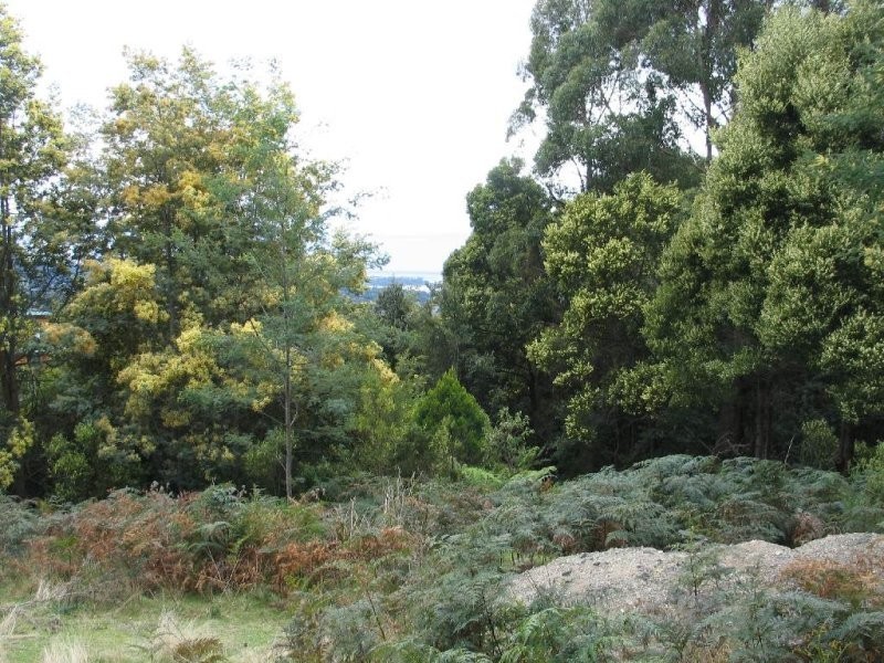 South Spreyton TAS 7310