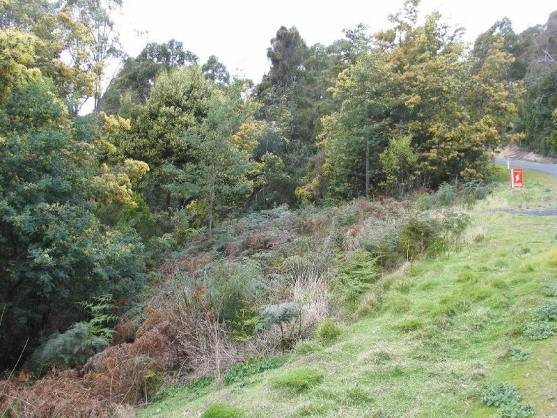 South Spreyton TAS 7310