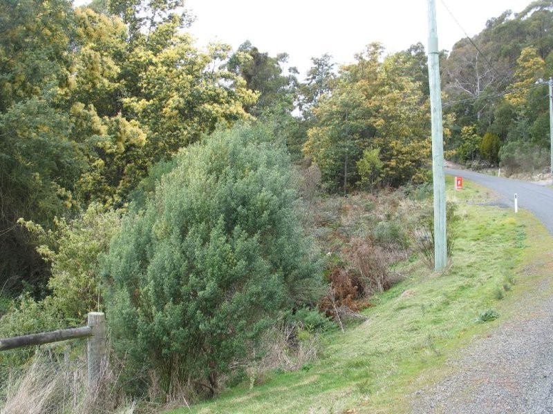 South Spreyton TAS 7310