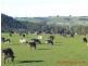 Gawler TAS 7315