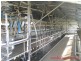 Gawler TAS 7315