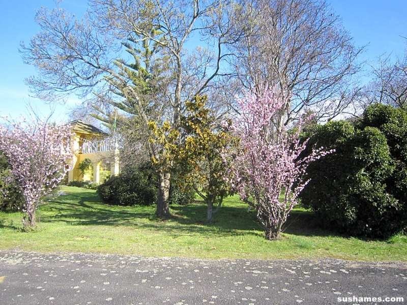 240 Westella Drive, Ulverstone TAS 7315