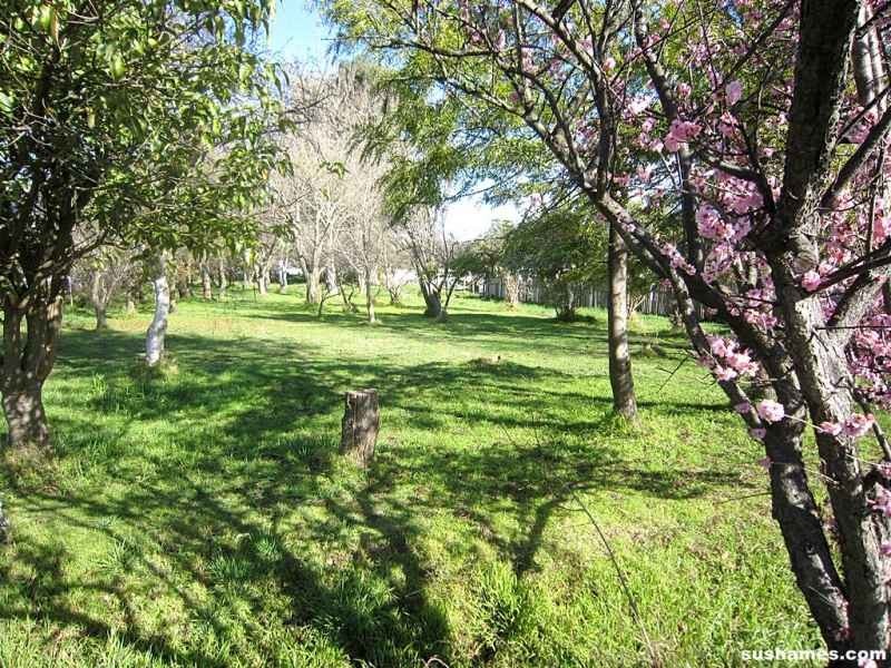240 Westella Drive, Ulverstone TAS 7315