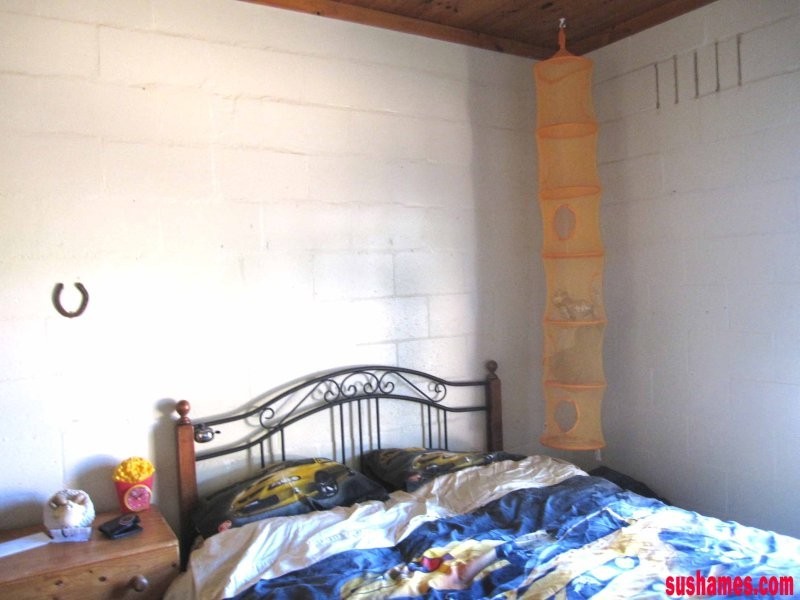 1909 Wilmot Road, Lower Wilmot TAS 7310