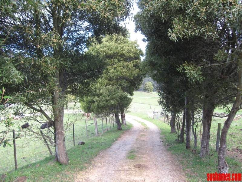 1909 Wilmot Road, Lower Wilmot TAS 7310