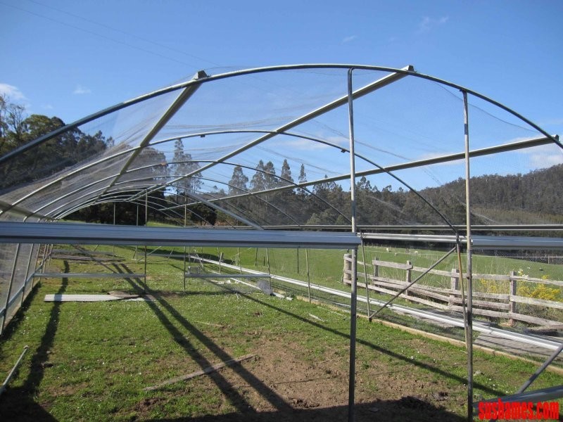 1909 Wilmot Road, Lower Wilmot TAS 7310