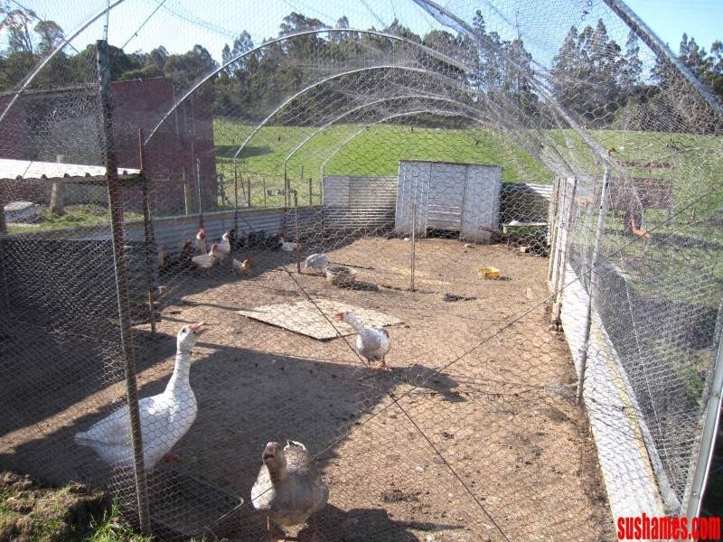 1909 Wilmot Road, Lower Wilmot TAS 7310