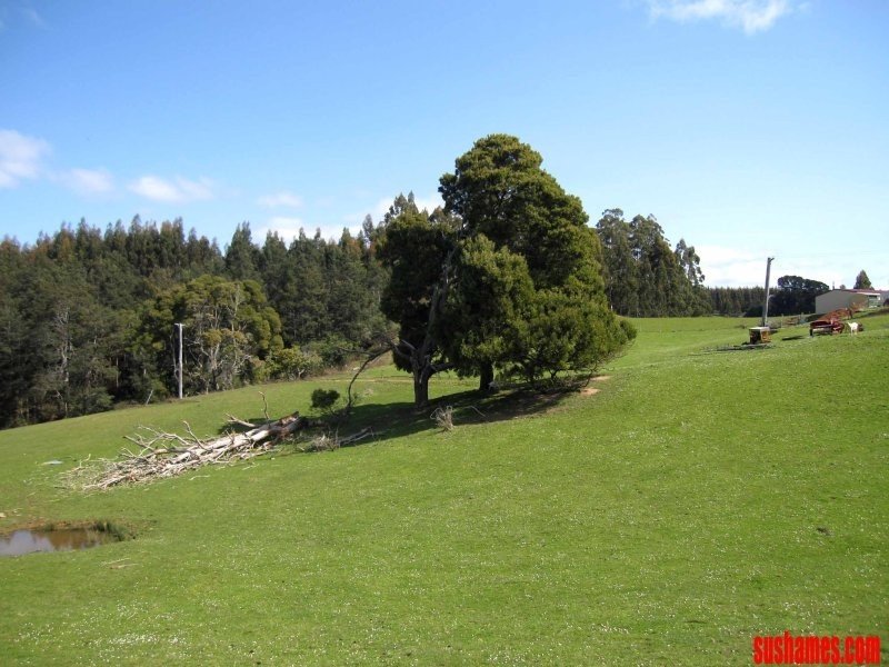 1909 Wilmot Road, Lower Wilmot TAS 7310