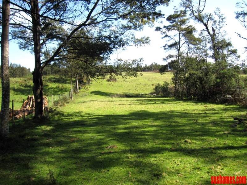 1909 Wilmot Road, Lower Wilmot TAS 7310