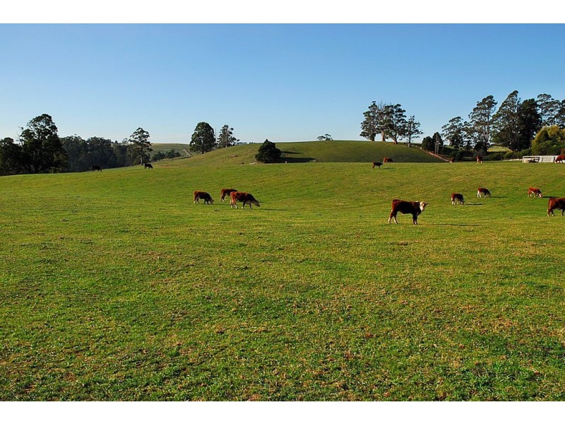 1018 Sheffield Road, Lower Barrington TAS 7306