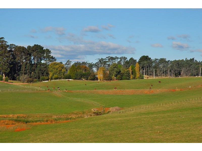 1018 Sheffield Road, Lower Barrington TAS 7306