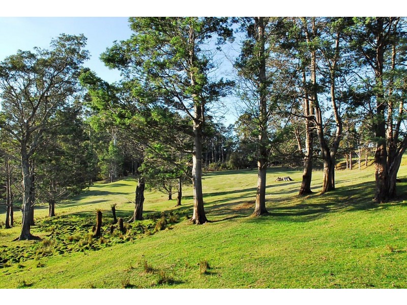 1018 Sheffield Road, Lower Barrington TAS 7306