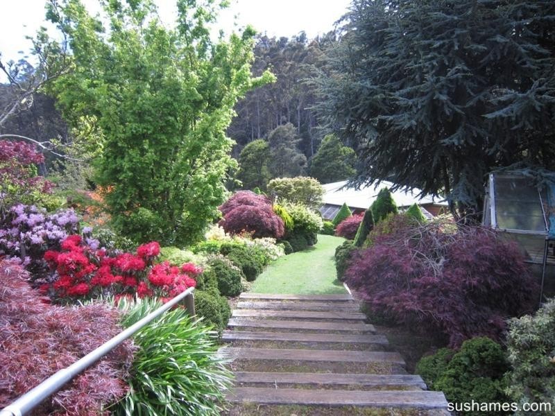 10 Lockington Road, Lower Wilmot TAS 7310