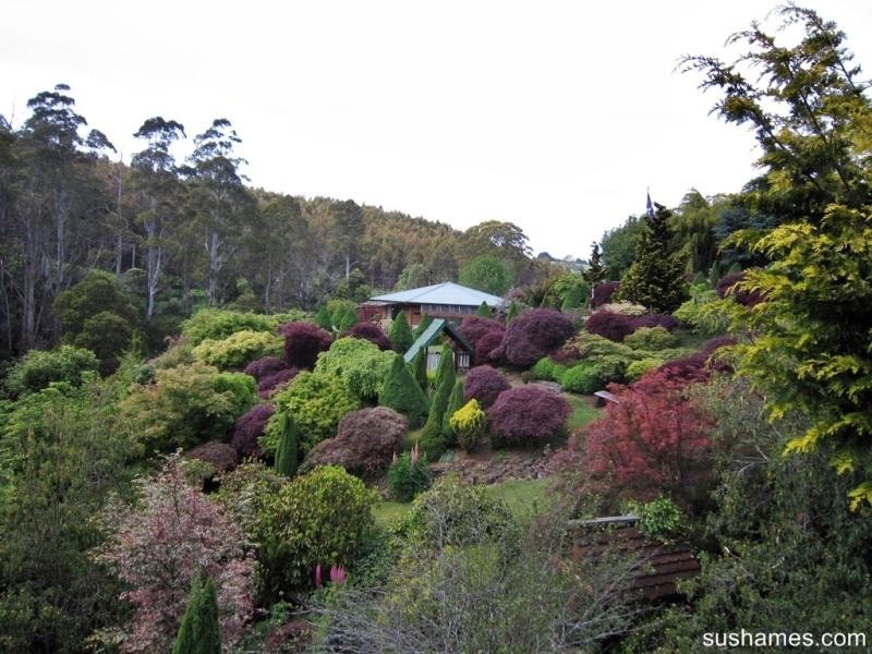 10 Lockington Road, Lower Wilmot TAS 7310