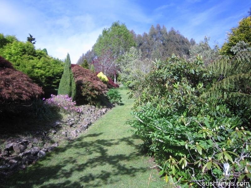 10 Lockington Road, Lower Wilmot TAS 7310