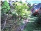 10 Lockington Road, Lower Wilmot TAS 7310