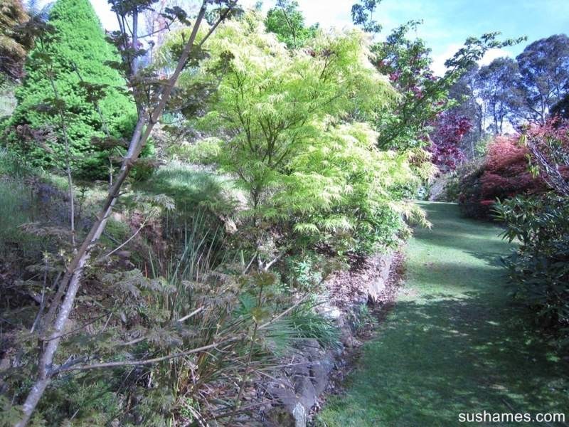 10 Lockington Road, Lower Wilmot TAS 7310