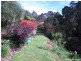 10 Lockington Road, Lower Wilmot TAS 7310