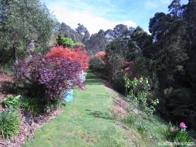 10 Lockington Road, Lower Wilmot TAS 7310